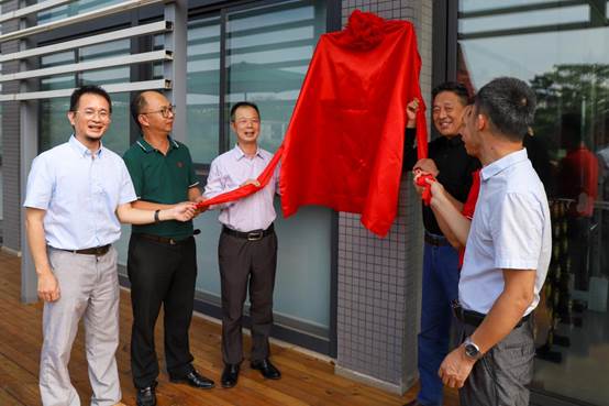 8017704821dcd998e0293794c39d362 8017704821dcd998e0293794c39d362