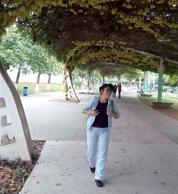 图片1.png 图片1.png